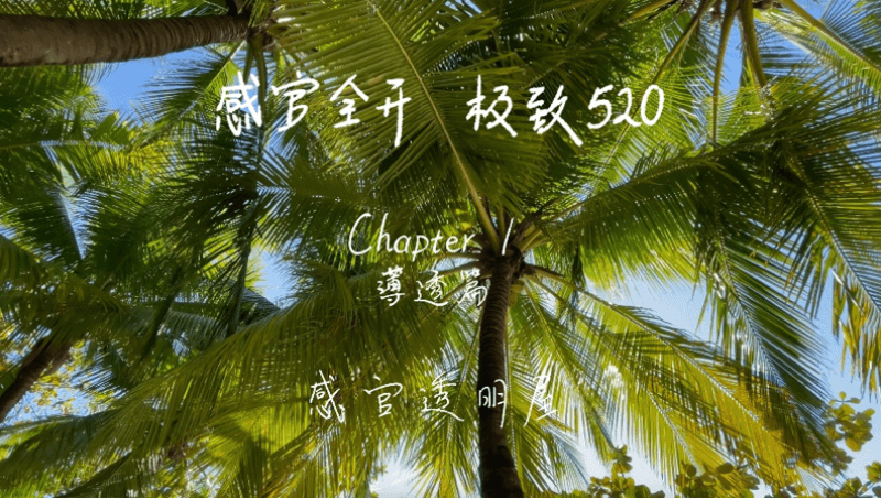 感官全开，极致520