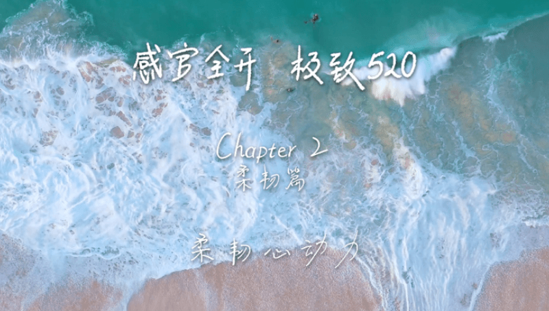 感官全开，极致520